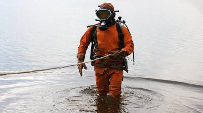 В Липецкой области утонули 39 человек, спасенных гораздо больше - lipetskmedia.ru - Липецкая обл.