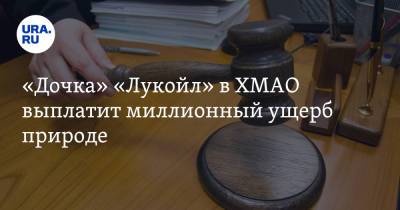 «Дочка» «Лукойл» в ХМАО выплатит миллионный ущерб природе - ura.news - Югра