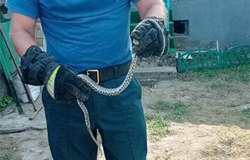 В Минском районе сельчане не смогли попасть в дом из-за змеи - charter97.org - Белоруссия - район Минский