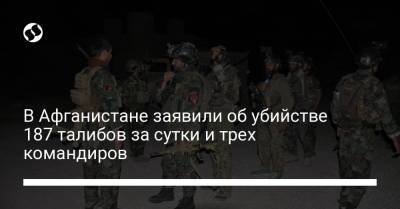 В Афганистане заявили об убийстве 187 талибов за сутки и трех командиров - liga.net - США - Украина - Афганистан