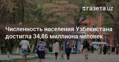 Численность населения Узбекистана достигла 34,86 миллиона человек - gazeta.uz - Узбекистан