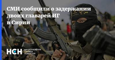 СМИ сообщили о задержании двоих главарей ИГ в Сирии - nsn.fm - Россия - США - Сирия - Московская обл.