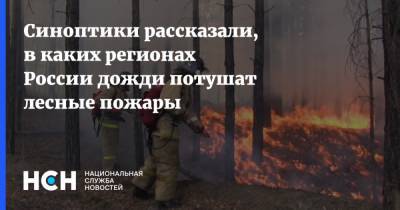 Синоптики рассказали, в каких регионах России дожди потушат лесные пожары - nsn.fm - Россия - Красноярский край - Иркутская обл. - респ. Саха - Чукотка