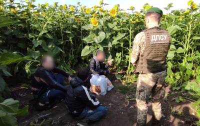На Харьковщине в подсолнухах поймали двух "криминальных авторитетов" - korrespondent.net - Россия - Украина - Грузия - Харьковская обл.