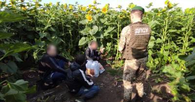 Украинские пограничники отыскали российского "вора в законе" из списка СНБО в подсолнухах - dsnews.ua - Россия - Украина - Грузия