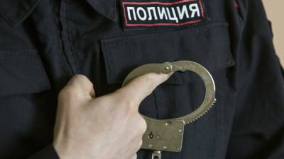 В Петербурге задержали подозреваемого в ограблении артиста Михайловского театра - inforeactor.ru - Санкт-Петербург - Челябинск