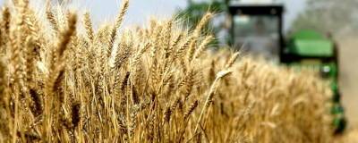 На Кубани собрали рекордный урожай зерна - runews24.ru