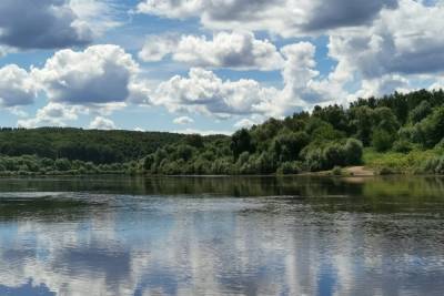 С начала купального сезона в Тульской области погибли 33 человека - tula.mk.ru - Россия - Тула - Тульская обл.