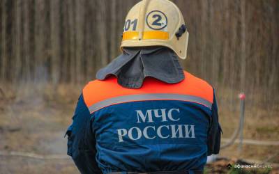 В Тверской области прогнозируют высокую пожарную опасность - afanasy.biz - Россия - Тверская обл.
