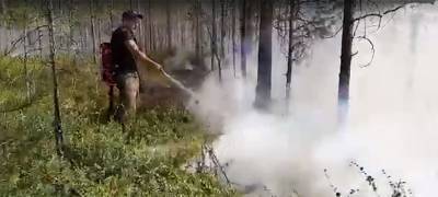 Артур Парфенчиков - В Сегежском районе Карелии огонь подошел к дачам (ВИДЕО) - stolicaonego.ru - район Сегежский - республика Карелия