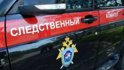 В Крыму проводят проверку по факту травмирования девочки на батуте - russian.rt.com - Россия - Крым - Симферополь - Севастополь