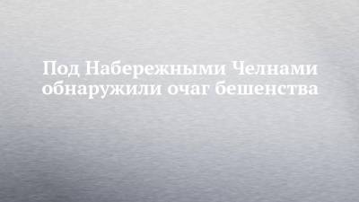 Рустам Минниханов - Под Набережными Челнами обнаружили очаг бешенства - chelny-izvest.ru - респ. Татарстан - Набережные Челны - район Тукаевский