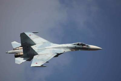 Марк Эпископос - NI: НАТО боится Су-27 из-за схожести характеристик с F-14 и F-15 - actualnews.org - США