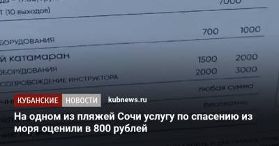 На одном из пляжей Сочи услугу по спасению из моря оценили в 800 рублей - kubnews.ru - Сочи - Краснодарский край