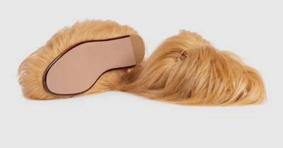 Мохнатые мюли Gucci за 73 000 рублей сравнили с чубаккой - skuke.net