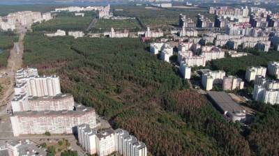 Благоустройство воронежского «Северного леса» закончат к середине 2023 года - vestivrn.ru - Воронеж - Экология