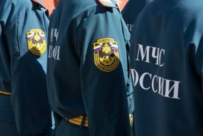 С начала пожароопасного периода на туляков составили 530 протоколов за сжигание сухой травы и мусора - tula.mk.ru - Россия - Тульская обл.