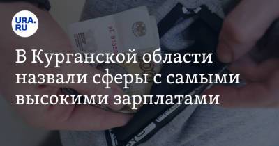 В Курганской области назвали сферы с самыми высокими зарплатами - ura.news - Курганская обл.