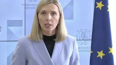Агне Билотайте - Власти Литвы предложили ввести ЧП на границе с Белоруссией - piter.tv - Белоруссия - Литва