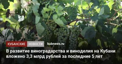 Вениамин Кондратьев - В развитие виноградарства и виноделия на Кубани вложено 3,3 млрд рублей за последние 5 лет - kubnews.ru - Краснодарский край - Темрюк