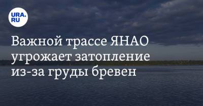 Важной трассе ЯНАО угрожает затопление из-за груды бревен. ФОТО - ura.news - Сургут - Салехард - окр. Янао - район Пуровский