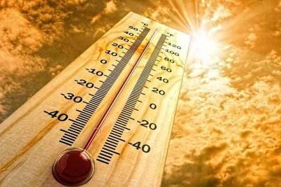 Землю ожидают пики аномальной жары: ученые рассчитали перепады температур - real-vin.com - Украина - Швейцария