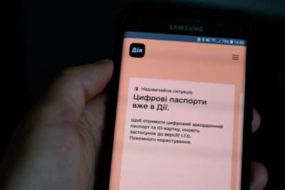 Михаил Федоров - Приложение "Дія" проверят на наличие киберуязвимостей - rupor.info