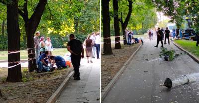 В Москве пассажирский автобус влетел в столб возле здания МГУ - reendex.ru - Москва