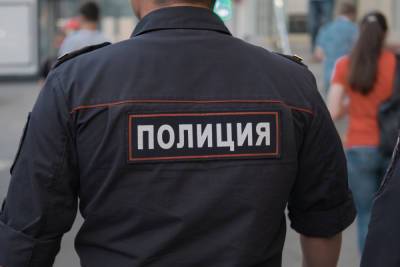 Москвич показал полицейским гениталии, после чего напал на сотрудника - mk.ru