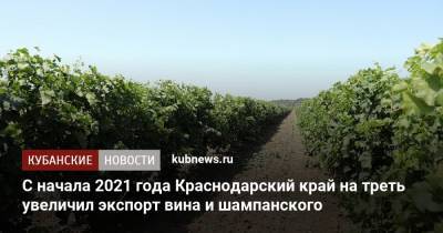 Вениамин Кондратьев - С начала 2021 года Краснодарский край на треть увеличил экспорт вина и шампанского - kubnews.ru - Краснодарский край