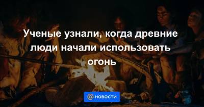 Ученые узнали, когда древние люди начали использовать огонь - news.mail.ru - Голландия