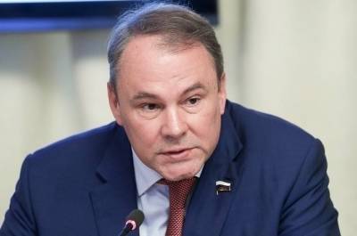 Ольга Окунева - Петр Толстой - Толстой отметил необходимость введения единого критерия для многодетных семей - pnp.ru - Россия