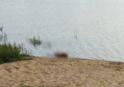 Из озера в Кадоме подняли тело мужчины - ya62.ru - Рязанская обл.