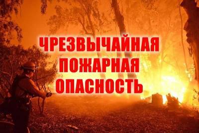 МЧС предупреждает о чрезвычайной пожароопасности в двух районах Смоленщины - rabochy-put.ru - Россия - Смоленская обл. - район Смоленщины