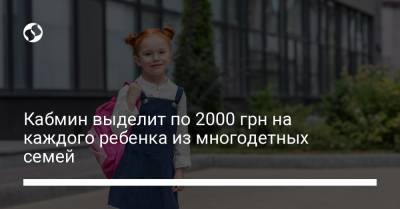 Кабмин выделит по 2000 грн на каждого ребенка из многодетных семей - liga.net - Украина