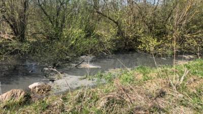Коммунальщики Гатчинского района обязаны возместить ущерб за загрязнение реки Ижора - piter.tv