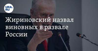 Любовь Соболь - Владимир Путин - Владимир Жириновский - Жириновский назвал виновных в развале России - ura.news - Россия
