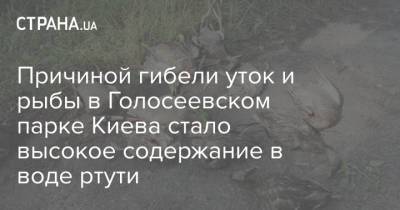 Причиной гибели уток и рыбы в Голосеевском парке Киева стало высокое содержание в воде ртути - strana.ua - Украина - Киев - Экология