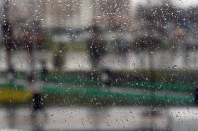 Роман Вильфанда - Синоптики обещают дождливую погоду в центре России до конца месяца - aif.ru - Москва - Россия