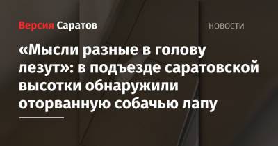 «Мысли разные в голову лезут»: в подъезде саратовской высотки обнаружили оторванную собачью лапу - nversia.ru