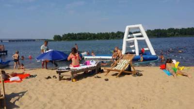 На черкасских пляжах обнаружили опасные токсокары - lenta.ua - Украина