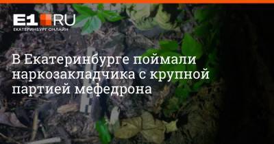 В Екатеринбурге поймали наркозакладчика с крупной партией мефедрона - e1.ru - Россия - Екатеринбург - Первоуральск