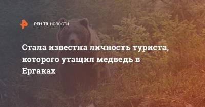 Стала известна личность туриста, которого утащил медведь в Ергаках - ren.tv - Москва - Красноярский край