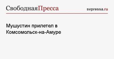 Михаил Мишустин - Мушустин прилетел в Комсомольск-на-Амуре - svpressa.ru - Россия - респ. Коми