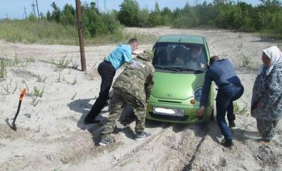 В Югре женщина два дня пряталась в застрявшей машине в лесу, заметив следы медведя - news.megatyumen.ru - Югра