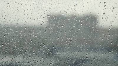 Пэрис Хилтон - Главные новости за ночь: проливные дожди в Грузии, интеллектуальный маршрут для путешественников и первенец Пэрис Хилтон - mir24.tv - Италия - Грузия