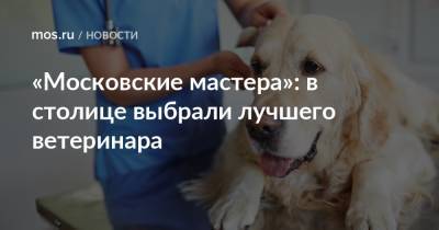 «Московские мастера»: в столице выбрали лучшего ветеринара - mos.ru - Москва