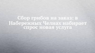 Сбор грибов на заказ: в Набережных Челнах набирает спрос новая услуга - chelny-izvest.ru - Набережные Челны