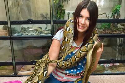 Чешуйчатая любовь. Более 500 пауков и 40 змей живут у хабаровчанки - hab.aif.ru