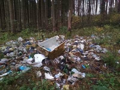 Смоленские активисты приглашают единомышленников на субботник - rabochy-put.ru